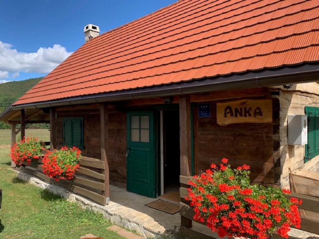 ein Gebäude mit grüner Tür und ein paar Blumen in der Unterkunft Holiday Home Anka in Gospić