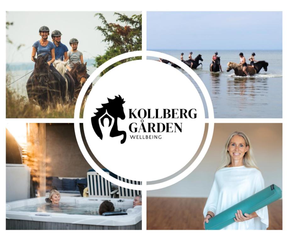 a collage of photos of people riding horses in the water at Ölands Yoga Studio & Islandshästar, Stugor & Rum in Mörbylånga