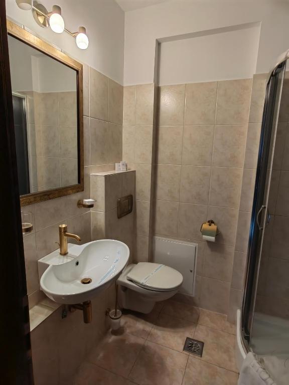 Hotel Carol - Resim 41