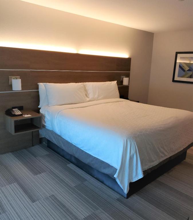 Holiday Inn Express & Suites San Antonio West Sea World Area, an IHG Hotel - Habitación King - Acceso A La Movilidad Bañera - No Fumadores