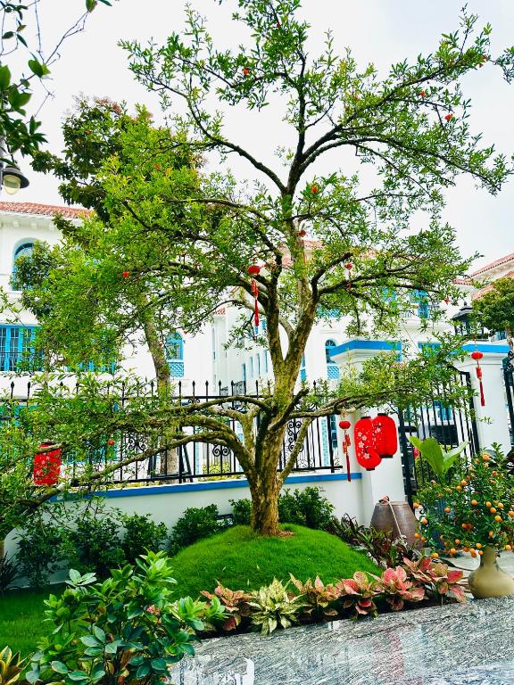 Zahrada ubytování The View Villa Hạ Long Bay