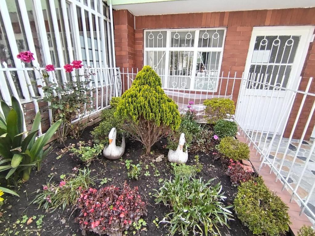 a garden with three swans in front of a house at Habitación Privada y Confortable cerca a Centro Mayor y al Centro Histórico in Bogotá