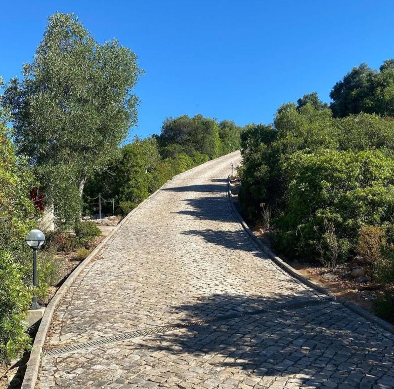 a cobblestone road with trees on either side at Casa Tin Tin in Moncarapacho