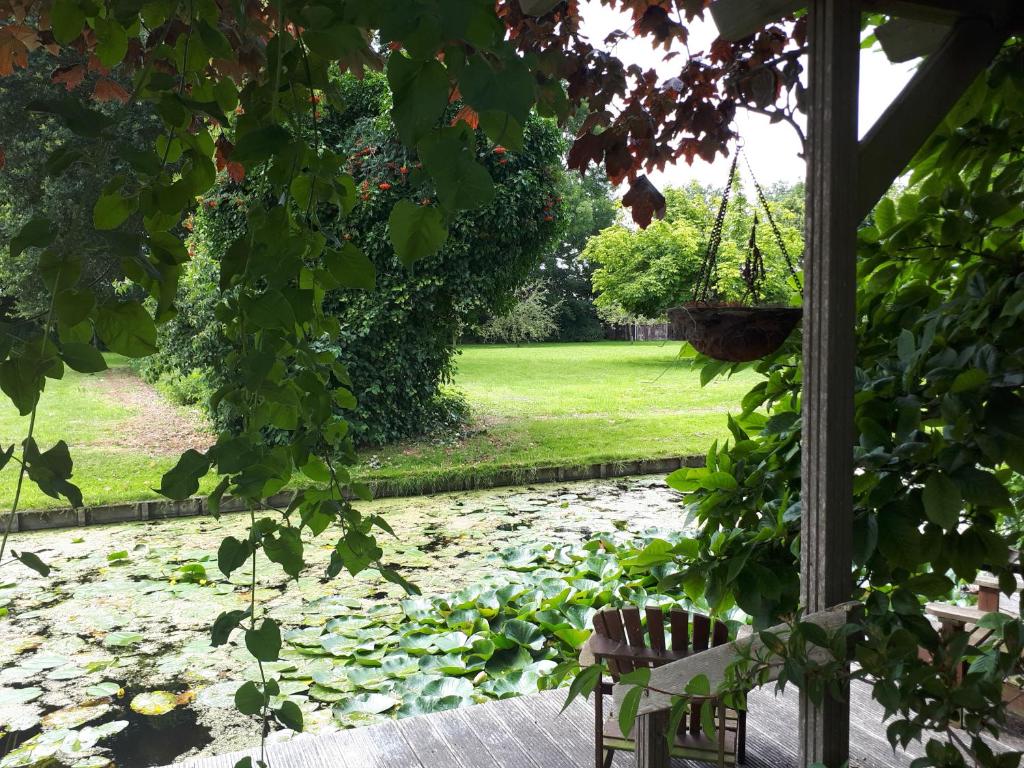 Zahrada ubytování B&B Het Molensteegje