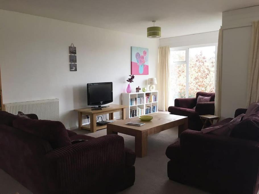 a living room with two couches and a tv at Tamar Valley, Cornwall in Callington