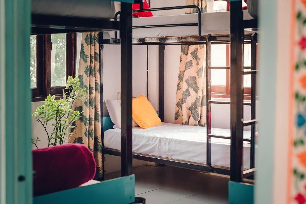 Cette chambre comprend 2 lits superposés et une chaise. dans l'établissement Hostel Nirvana, à Udaipur