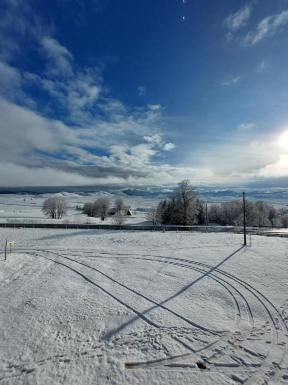 Domaćinstvo Krstajić - Rural holiday - 7