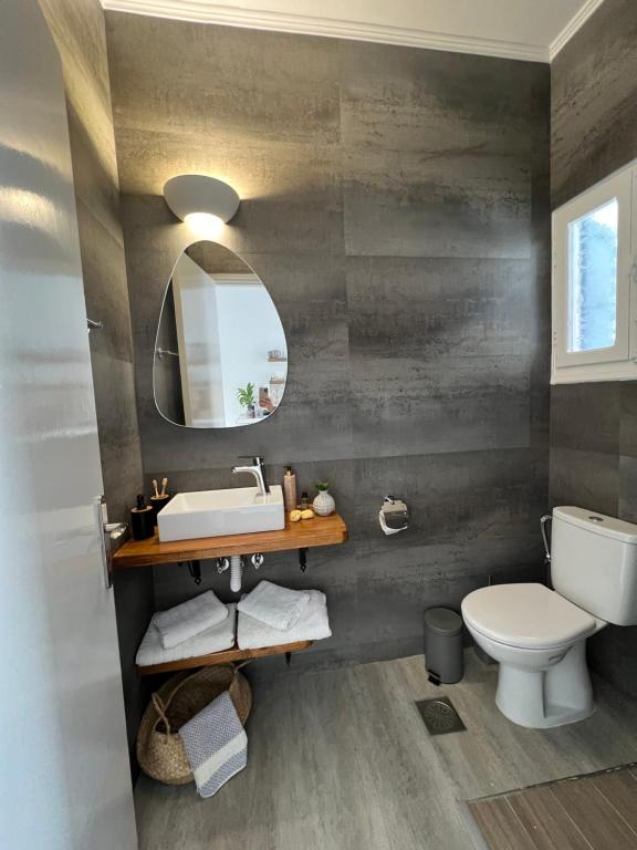 a bathroom with a sink and a toilet at Fatolitis Studios in Masouri