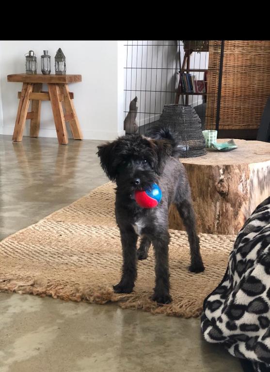 Cosy Country Stay B&B - Resim 24