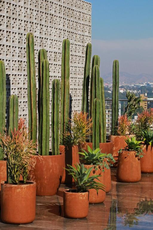 Fotografie z fotogalerie ubytování voco Guadalajara Neruda by IHG v destinaci Guadalajara
