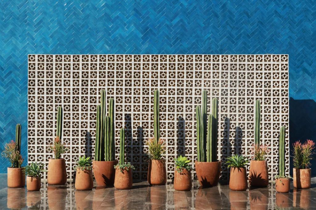 Fotografie z fotogalerie ubytování voco Guadalajara Neruda by IHG v destinaci Guadalajara
