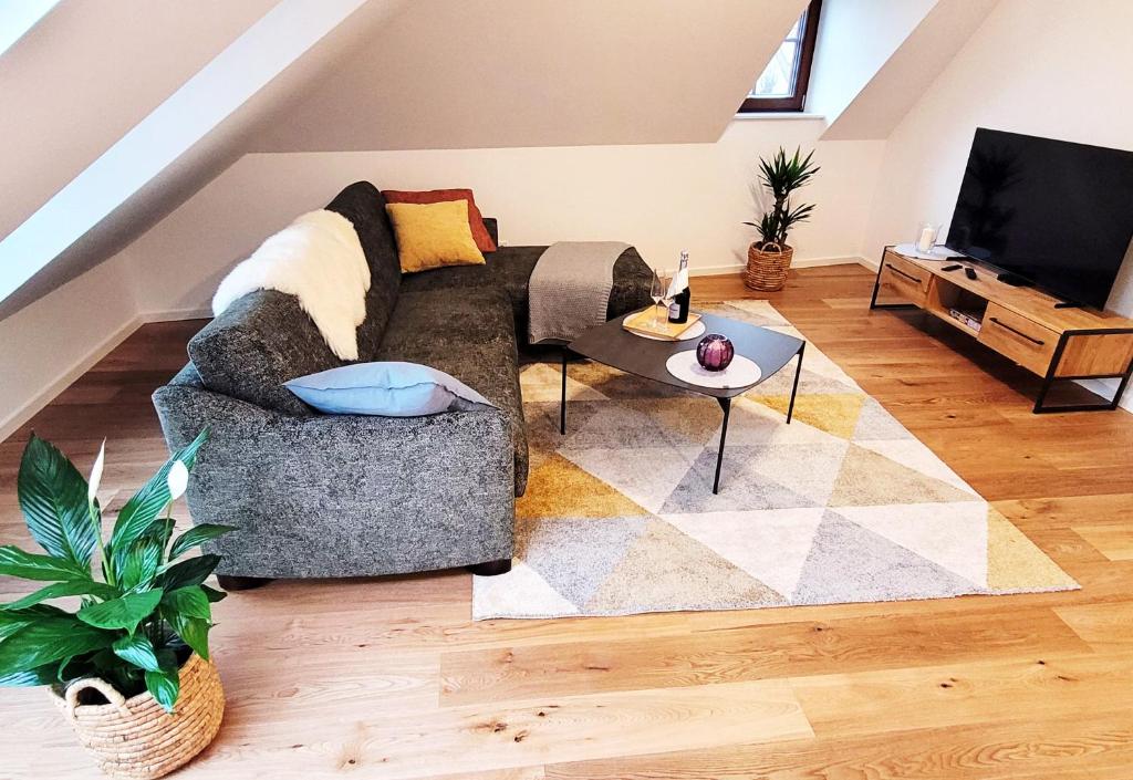 TV a/nebo společenská místnost v ubytování Seezeit - gemütliche Ferienwohnung, Tiefgarage, Cospudener See