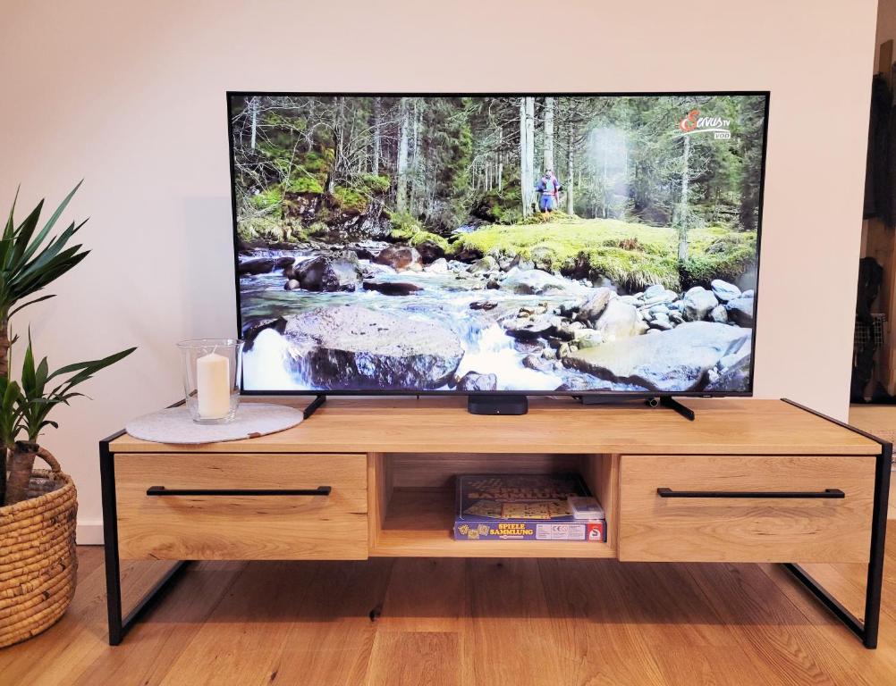 TV a/nebo společenská místnost v ubytování Seezeit - gemütliche Ferienwohnung, Tiefgarage, Cospudener See