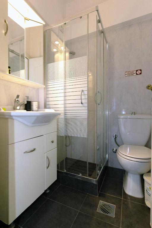 a bathroom with a shower and a toilet and a sink at Elaionas Studios in Gythio