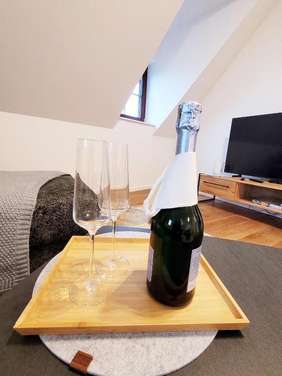 TV a/nebo společenská místnost v ubytování Seezeit - gemütliche Ferienwohnung, Tiefgarage, Cospudener See