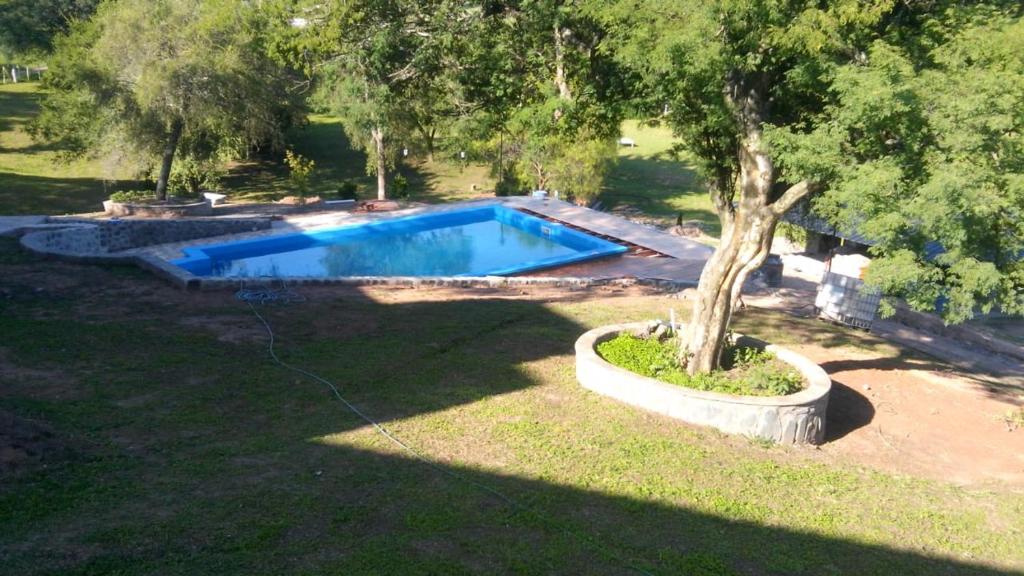 una piscina con un árbol en un patio en RELAX La Tuquita Raco in 
