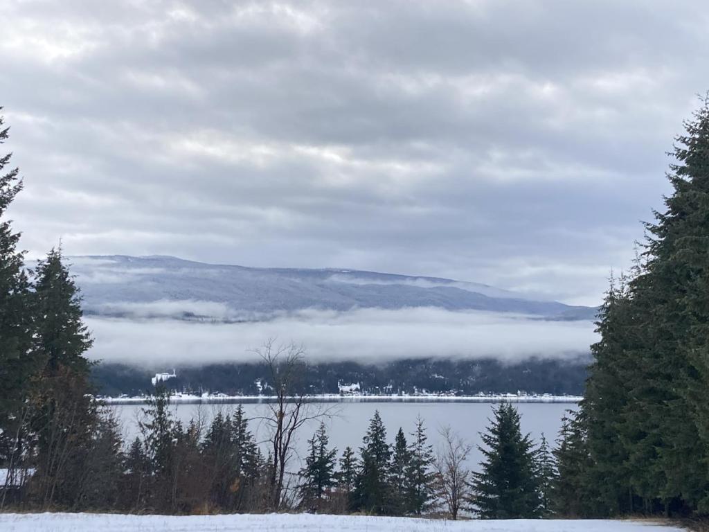 Cougar Mountain Lake View, Anglemont Bijgewerkte prijzen 2023