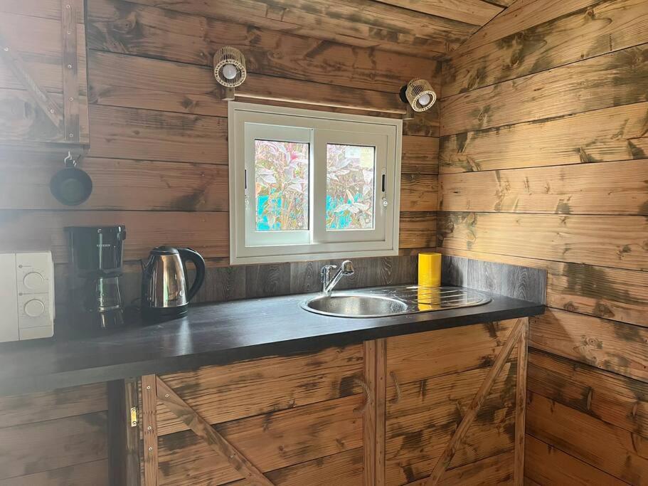 eine Küchentheke mit einem Waschbecken in einem Blockhaus in der Unterkunft Roulotte À Tahiti in Punaauia