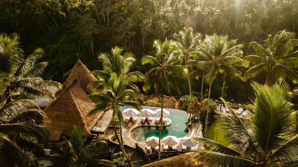 Zahrada ubytování Viceroy Bali