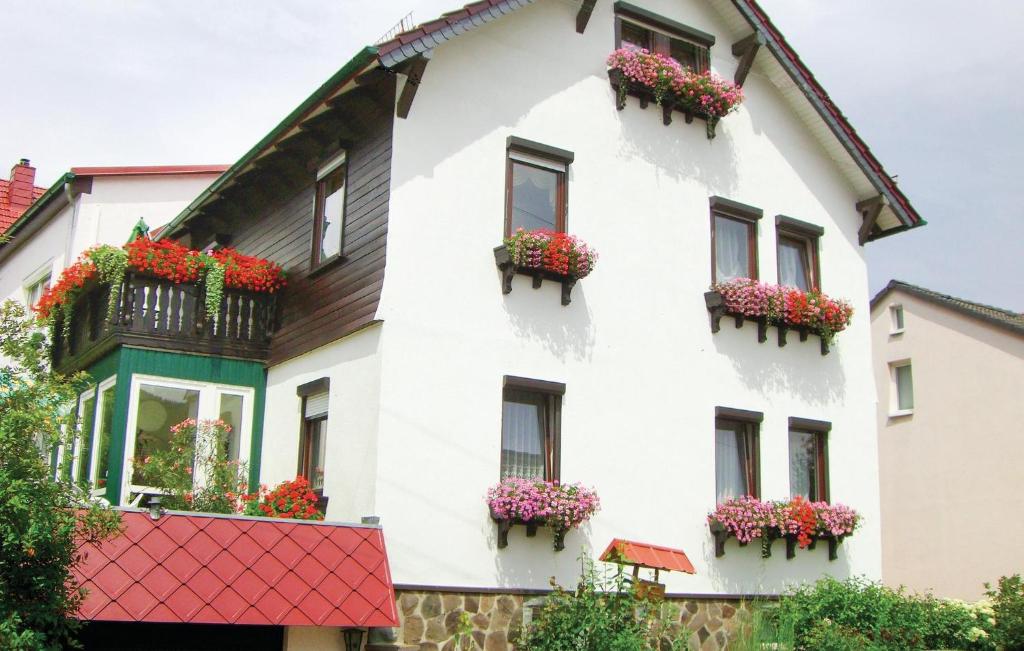 a white house with flowers in window boxes at Amazing Apartment In Waltershausen-fischb, With Wifi in Waltershausen