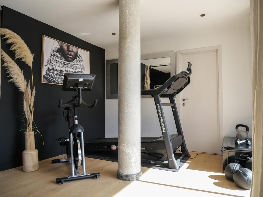 Fitness centrum a/nebo fitness zařízení v ubytování Maison d'Hôtes L'Espigoulié
