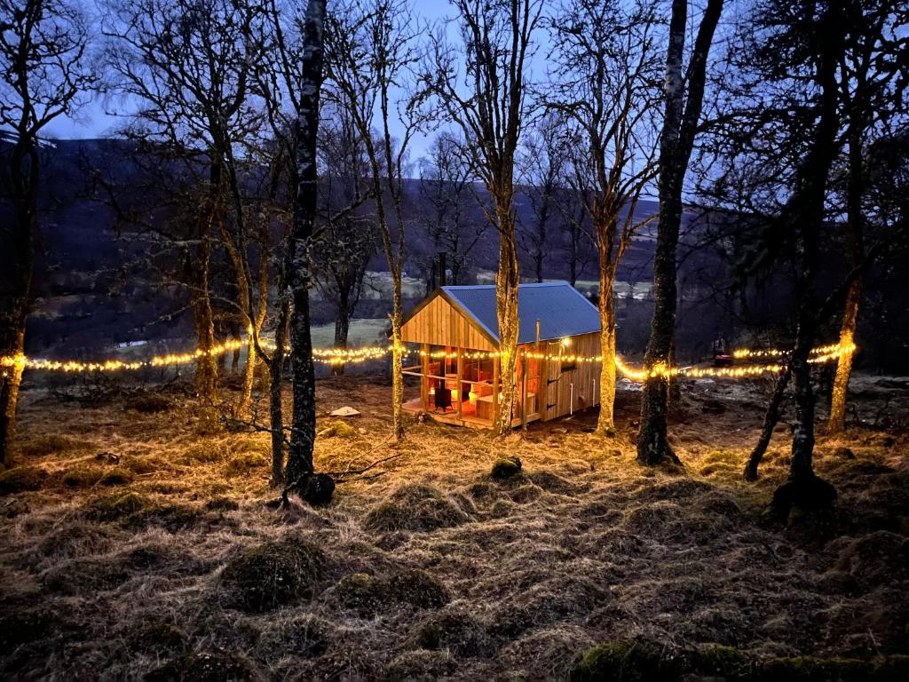 a tent in the woods at night with lights at The Dell at Glenlivet in Glenlivet