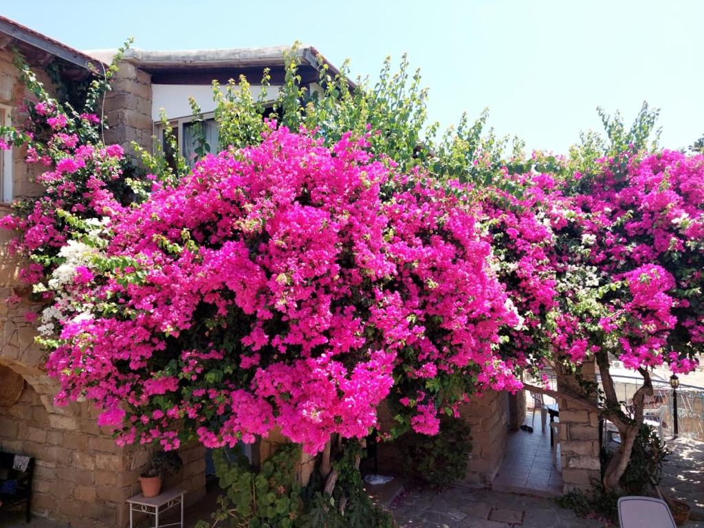 Cyprus Villages Hotel & Restaurant - Central Location - Bed & Breakfast - With Access To Pool And Stunning Views - Apartamento De Dois Quartos - Ademos House