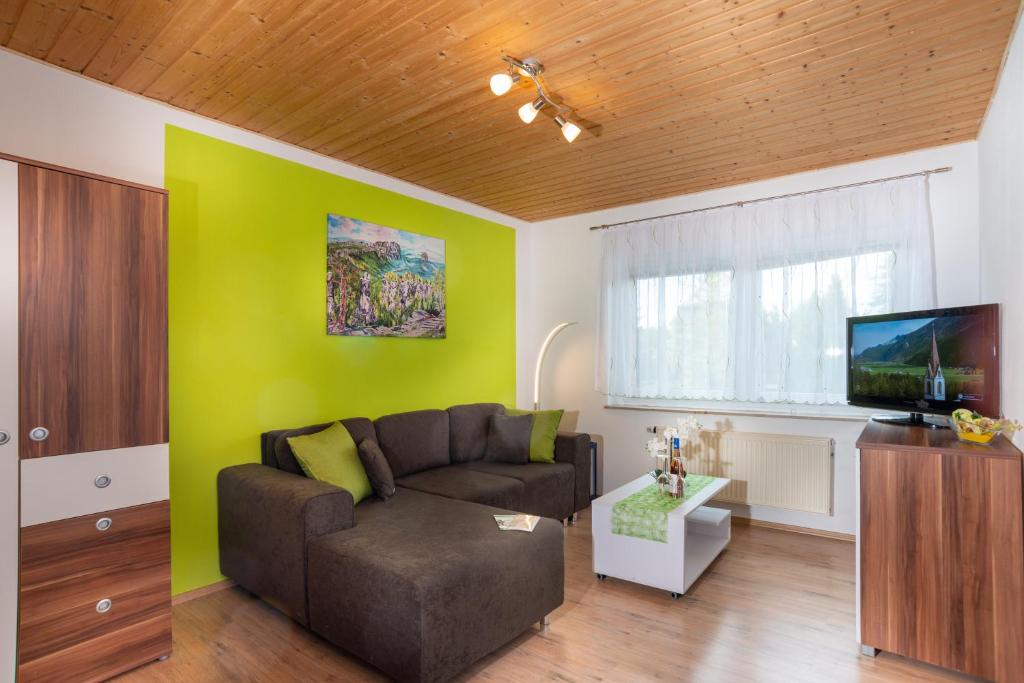 TV a/nebo společenská místnost v ubytování Pension Am Weinberg Sächsische Schweiz