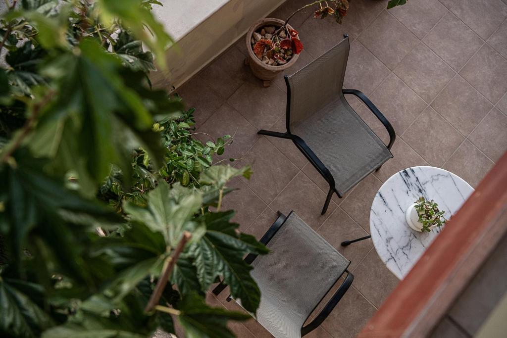 Zahrada ubytování Villa Anastasia
