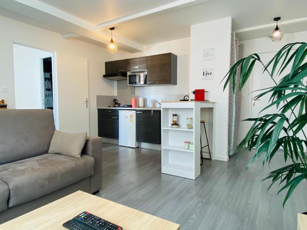 uma sala de estar com um sofá e uma cozinha em LE CAPUCIN em Rodez