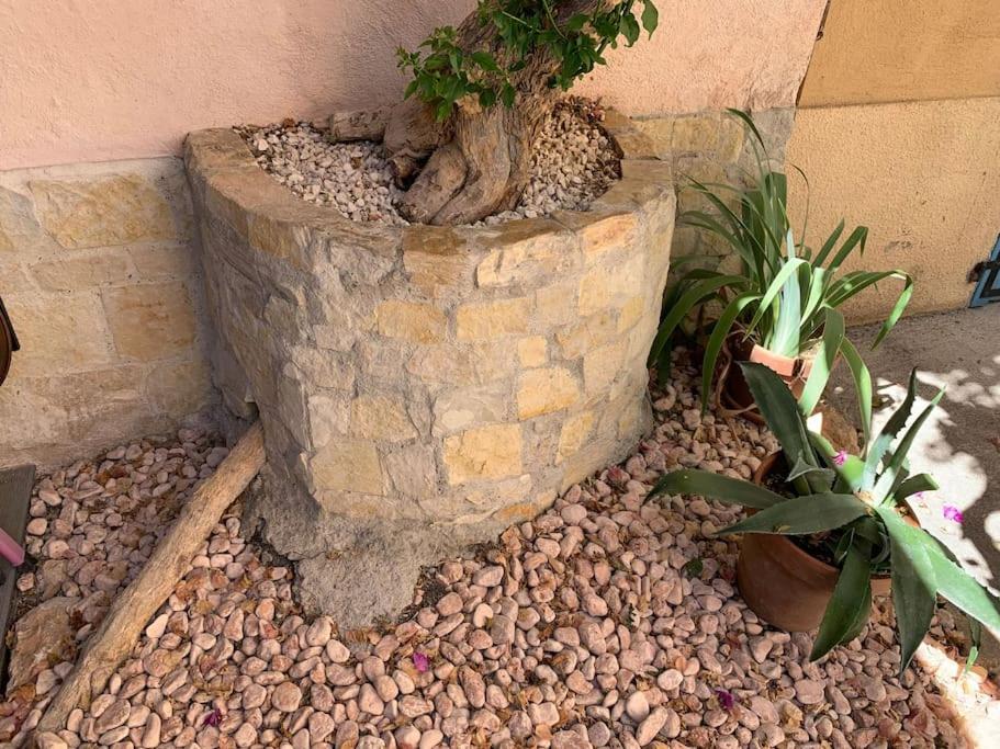 a stone planter with plants in it next to a wall at historic authentic atmosphere - high-end luxury décor in Le Cannet