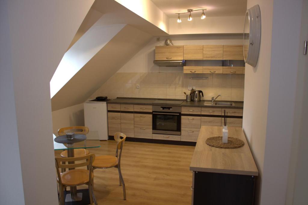 Kuchyň nebo kuchyňský kout v ubytování Apartmany U Lva