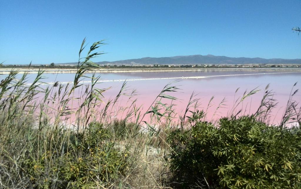 Paesaggio naturale nelle vicinanze del bed & breakfast