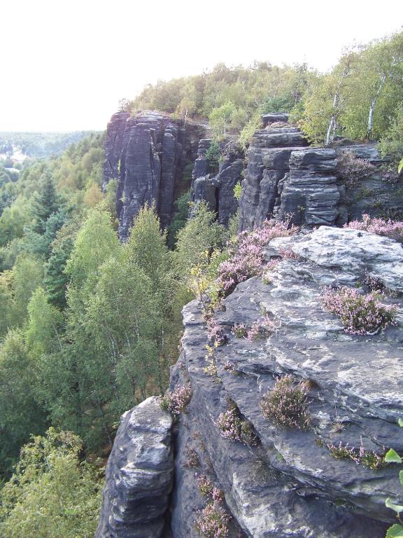 a rock cliff with plants on top of it at Tisá 488 in Tisá