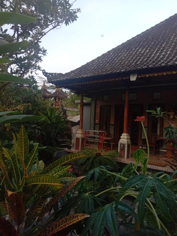 Khailash Warung and Home Stay - 3