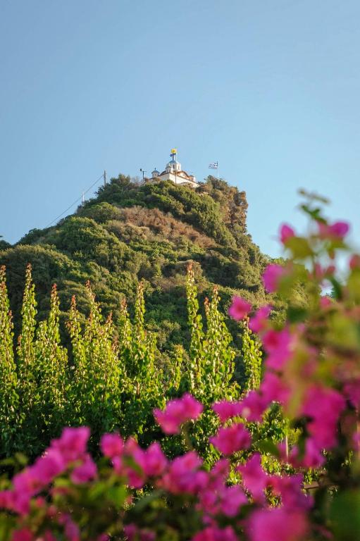 a house on top of a hill with pink flowers at Erato by Samian Mare in Karlovasi