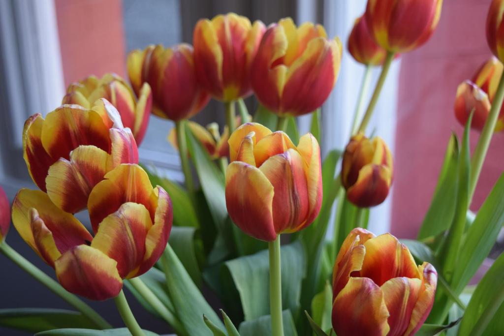 Charlie Hotel - Resim 22