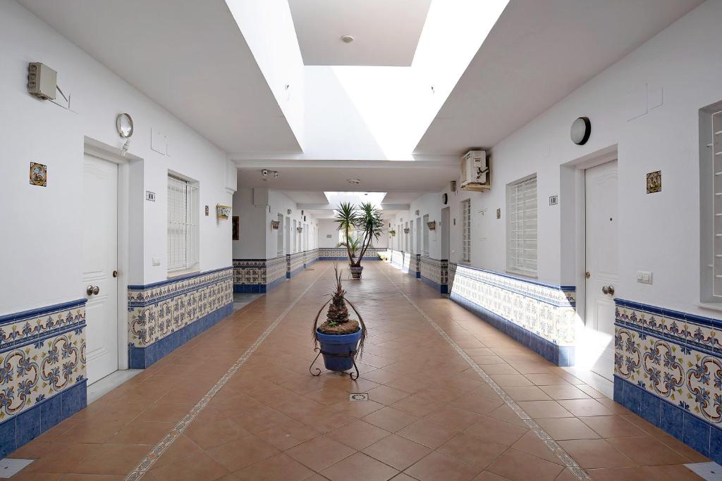 Fotografie z fotogalerie ubytování Casa Paloma v destinaci Conil de la Frontera