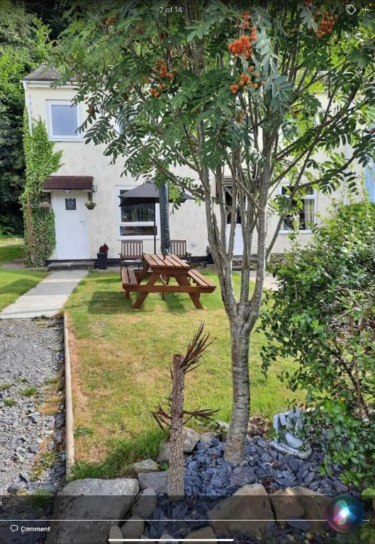a picnic table and a tree in a yard at SNOWDONIA COTTAGE Glan Gwna Holiday Park in Caernarfon