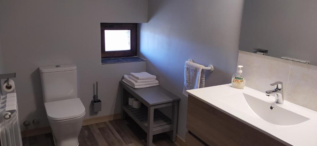 a bathroom with a sink and a toilet and a window at Casa Rural Haitzetxea in Zugarramurdi