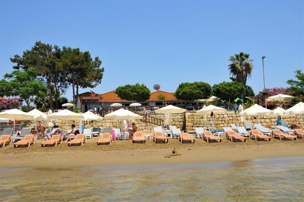 eine Gruppe von Stühlen und Sonnenschirmen am Strand in der Unterkunft Clover Magic Nova Beach Hotel in Side