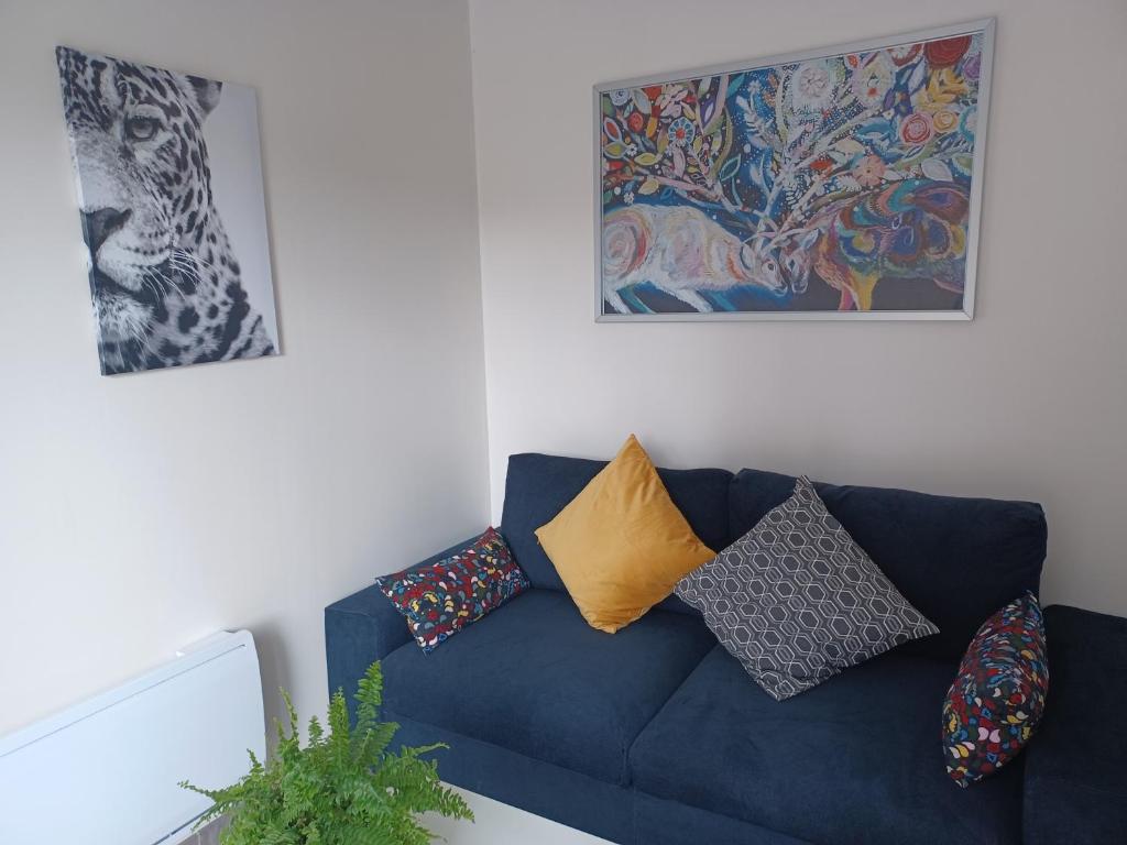 Sofá azul en la sala de estar con almohadas en Appartement Havre de paix Landais en Saint-Barthélemy