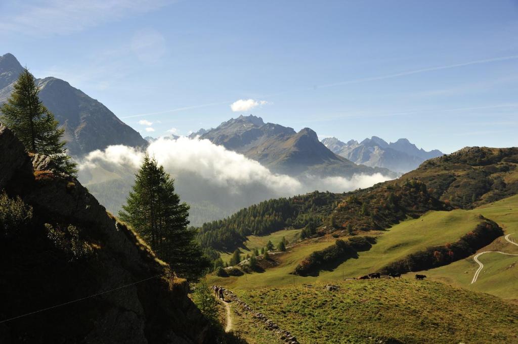 Paesaggio naturale nelle vicinanze del bed & breakfast