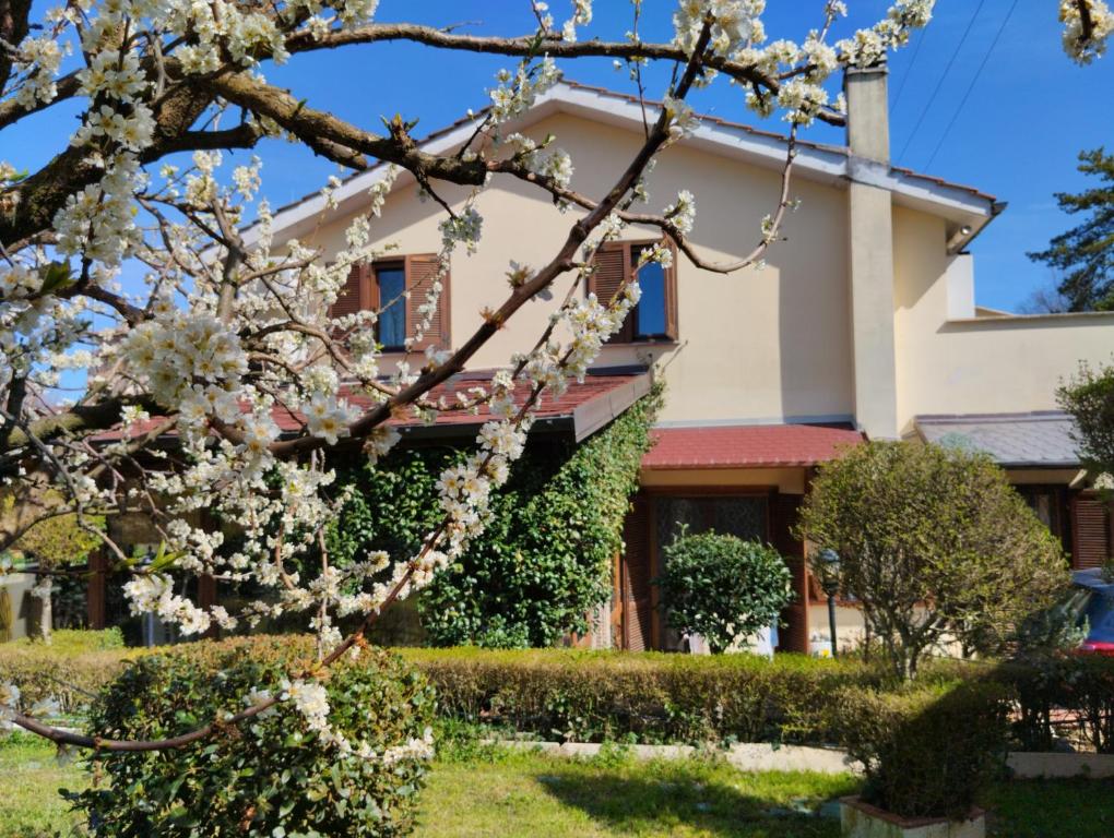 une maison avec un arbre à fleurs devant elle dans l'établissement B&B Angolo Verde, à Terni