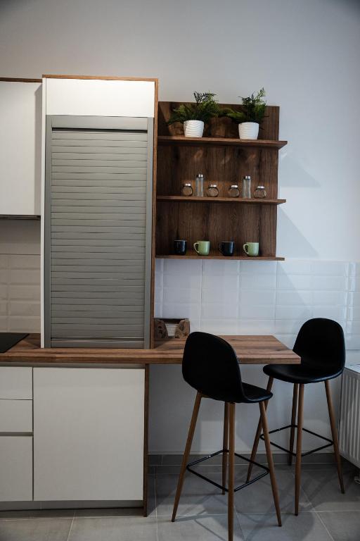 Kuchyň nebo kuchyňský kout v ubytování Volenter Lux Apartment Uno