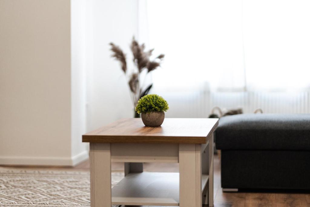 Fotografie z fotogalerie ubytování Volenter Lux Apartment Uno v destinaci Baja