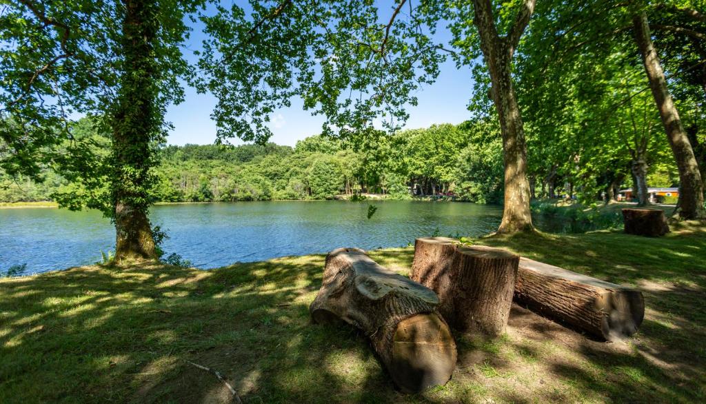 Camping L'Etang D'Ardy ***