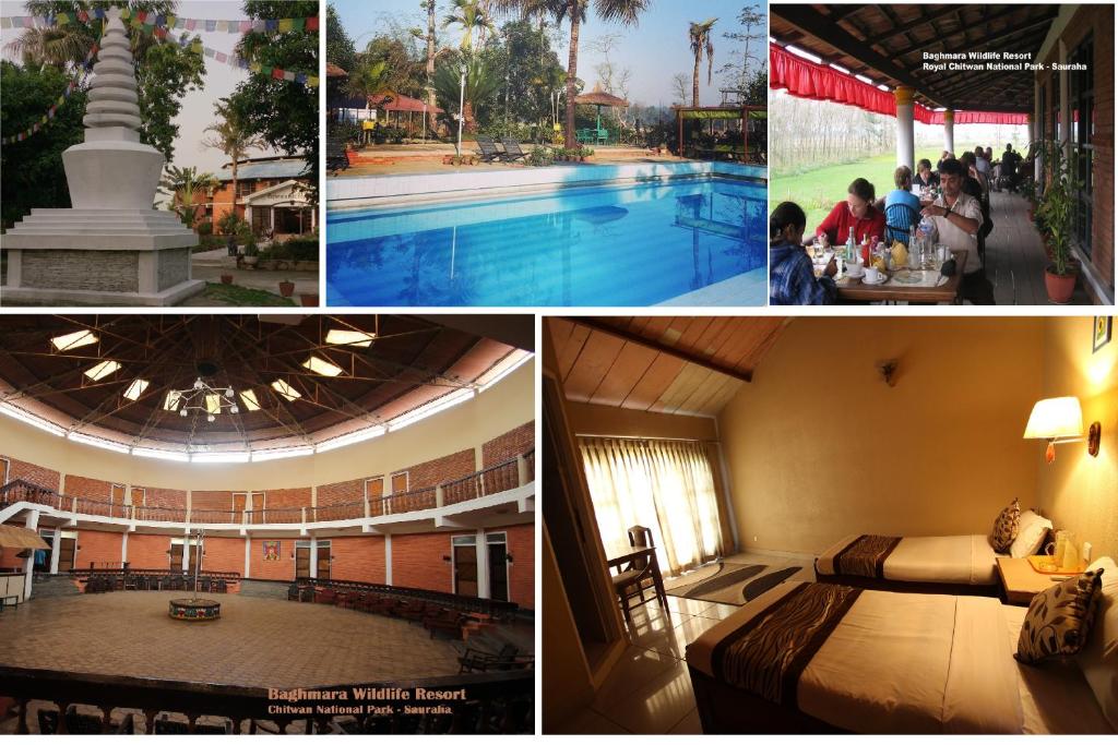 a collage of pictures of a hotel with a pool at Baghmara Wildlife Resort in Sauraha