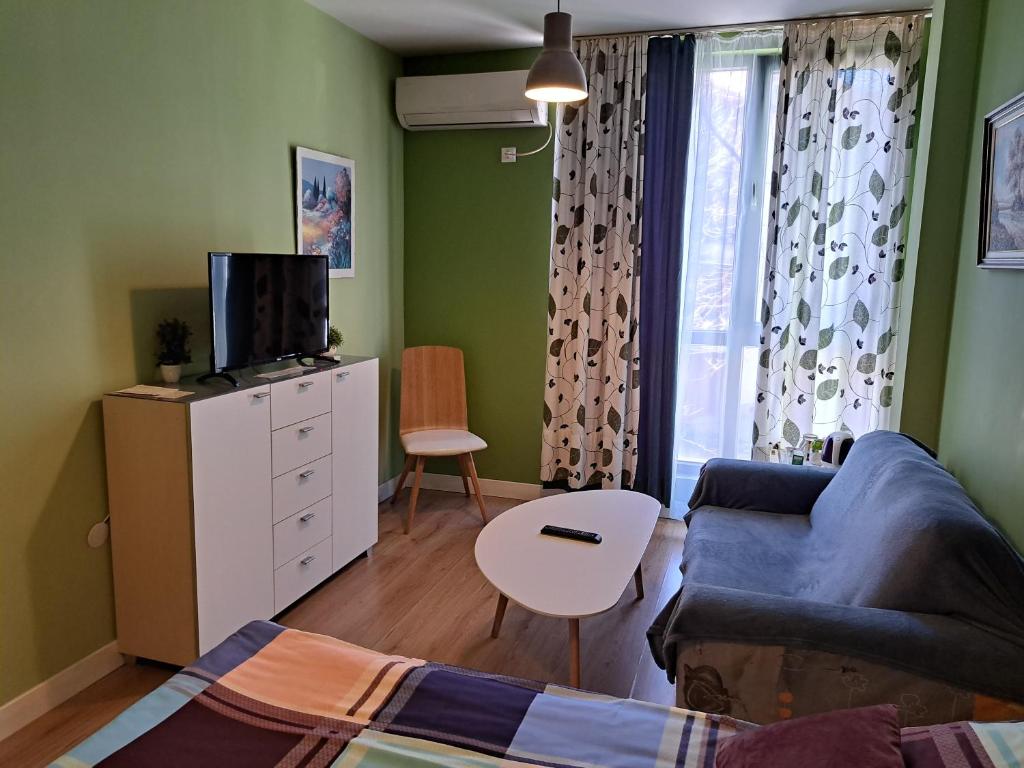 salon z kanapą i telewizorem w obiekcie Sasso-студио 3 w mieście Plewen