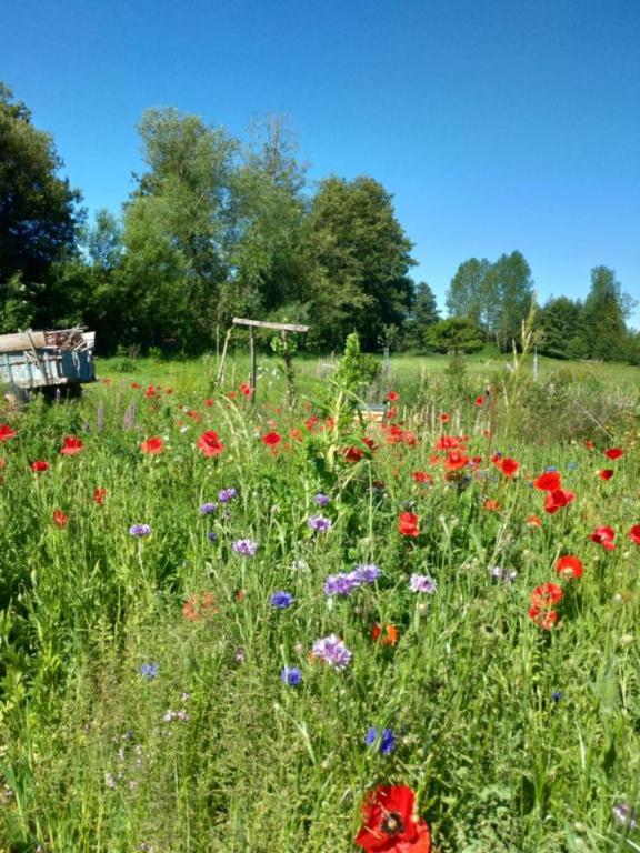 Ein Garten an der Unterkunft Le gite du pré dorė